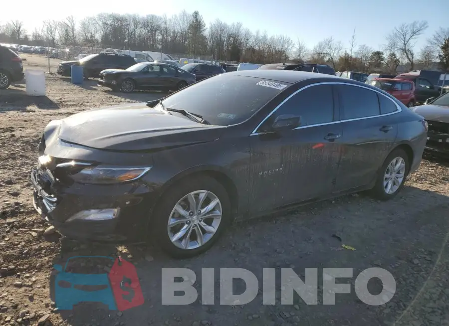 1G1ZD5ST5LF053254 Photo# 1