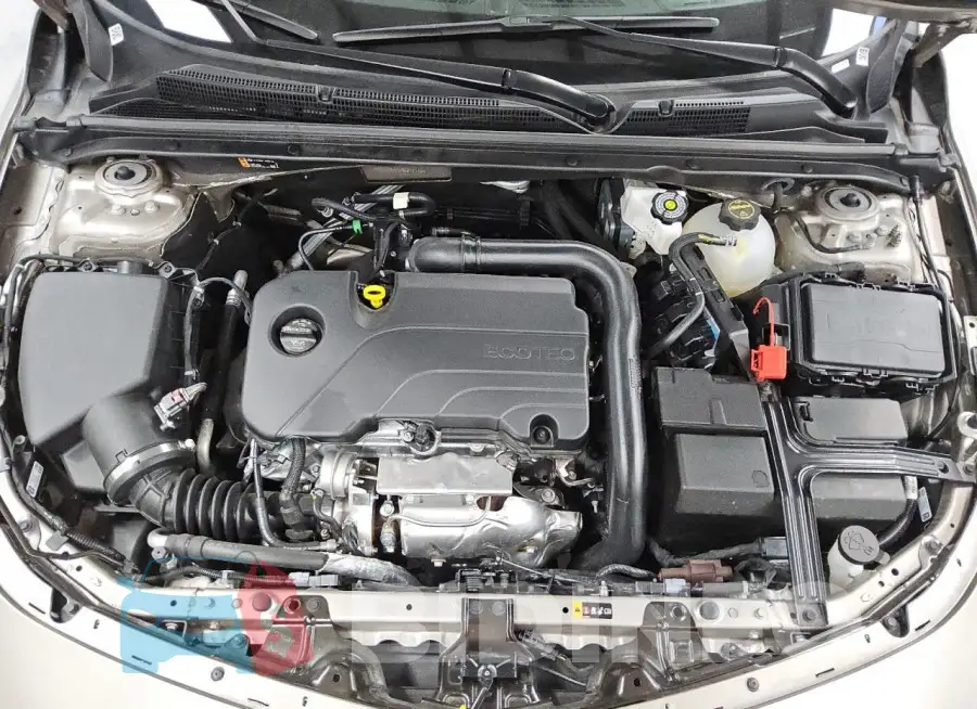 1G1ZD5ST5RF217112 Photo# 11