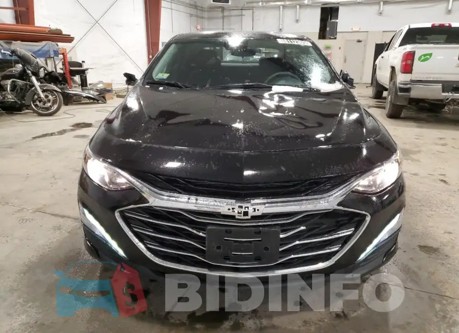1G1ZD5ST5RF230281 Photo# 5