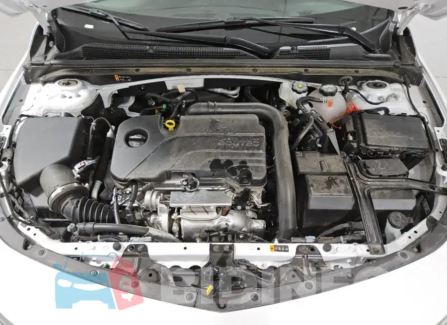 1G1ZD5ST7RF195713 Photo# 11