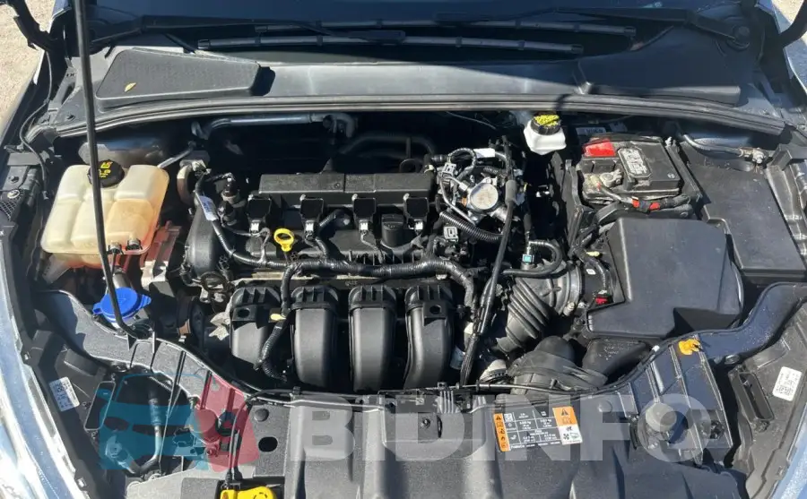 1FADP3E2XJL238596 Photo# 7