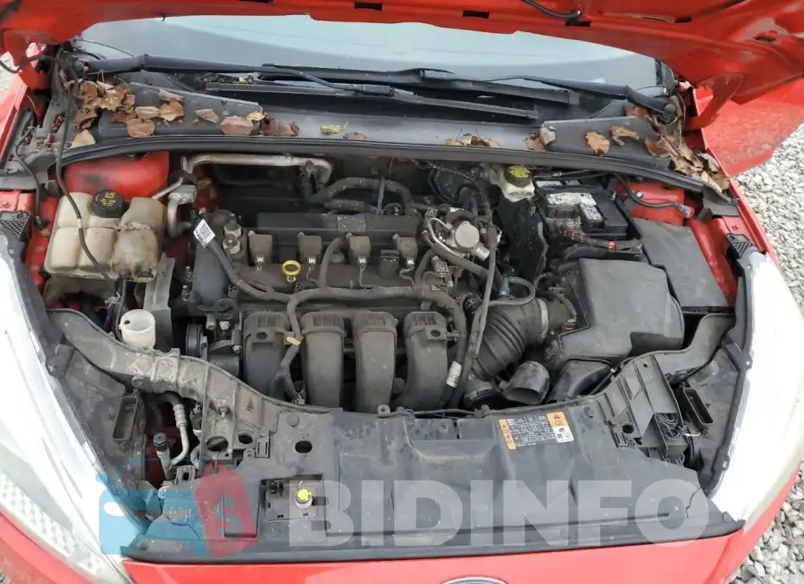 1FADP3F2XHL286303 Photo# 11