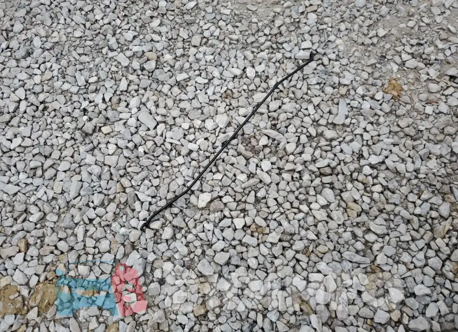 1FADP3F2XHL286303 Photo# 12