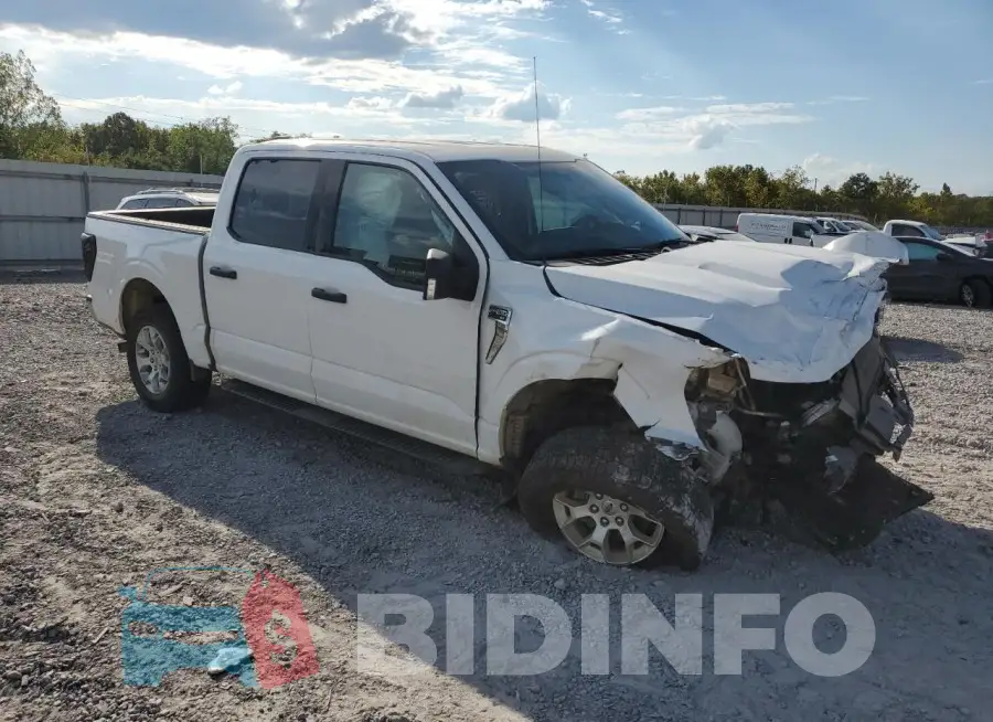 1FTFW1E81MFB31230 Photo# 4