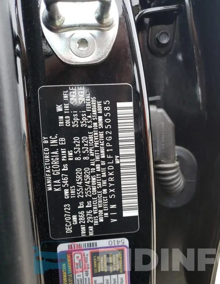 5XYRKDLF1PG250585 Photo# 13