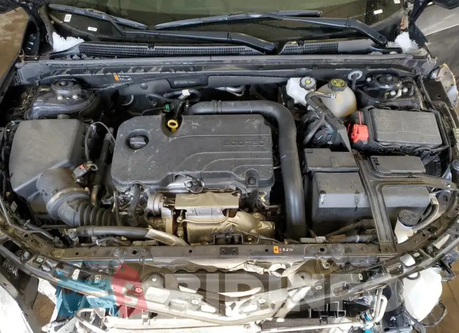 1G1ZD5ST9PF189361 Photo# 11
