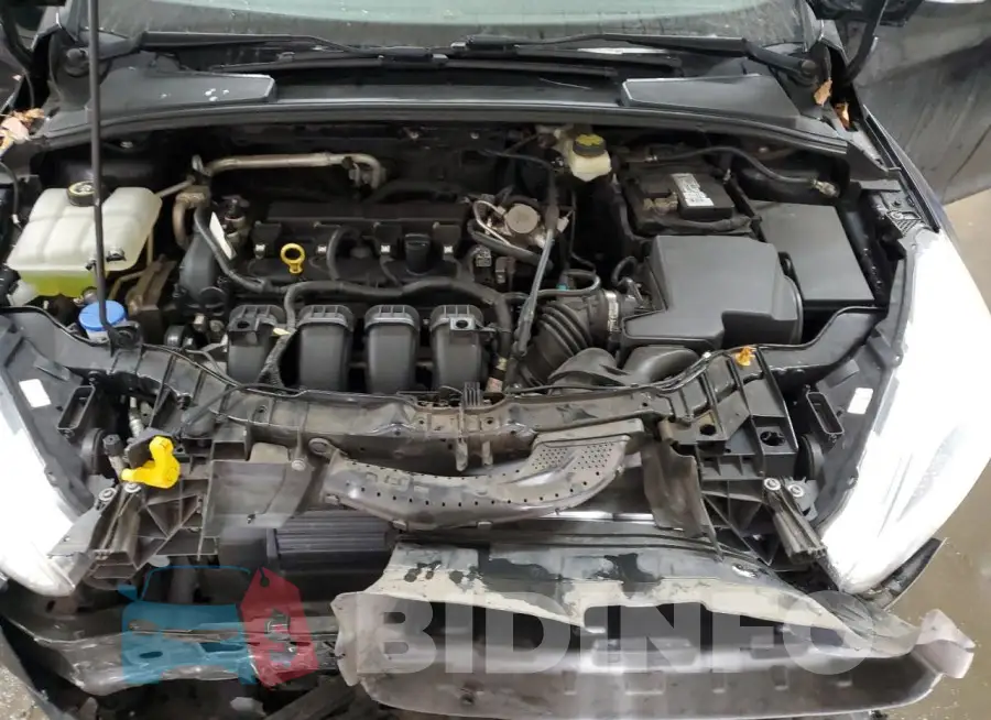 1FADP3F23HL201687 Photo# 11