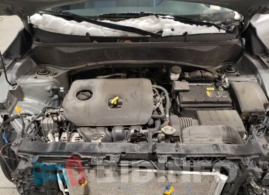 KNDERCAA6M7178982 Photo# 12