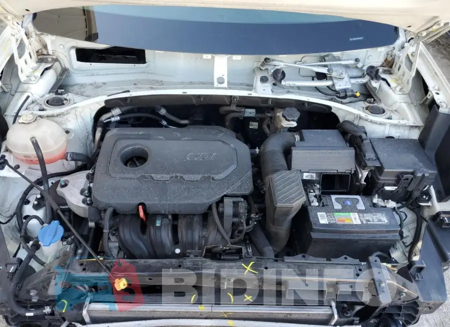 KNDPM3ACXM7938226 Photo# 12
