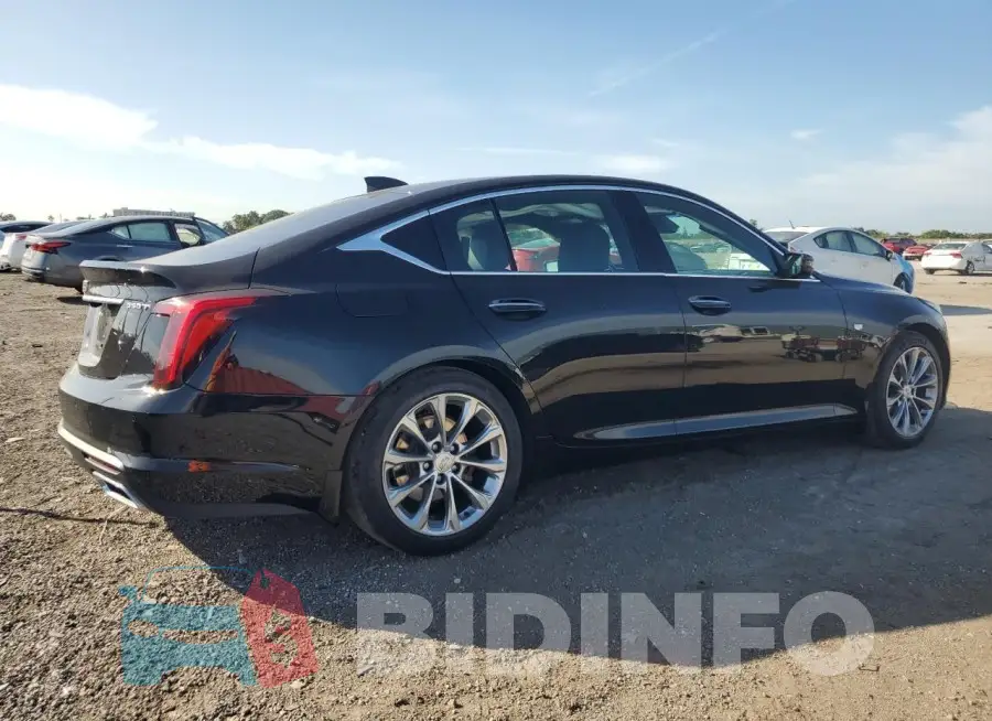 1G6DN5RK2M0108486 Photo# 3