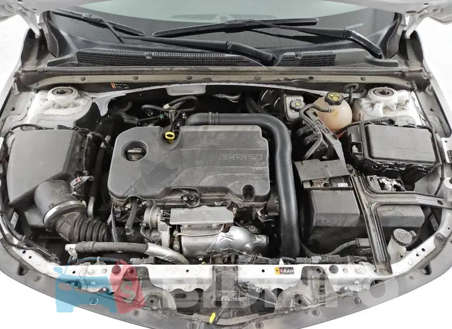 1G1ZD5ST5NF132300 Photo# 11