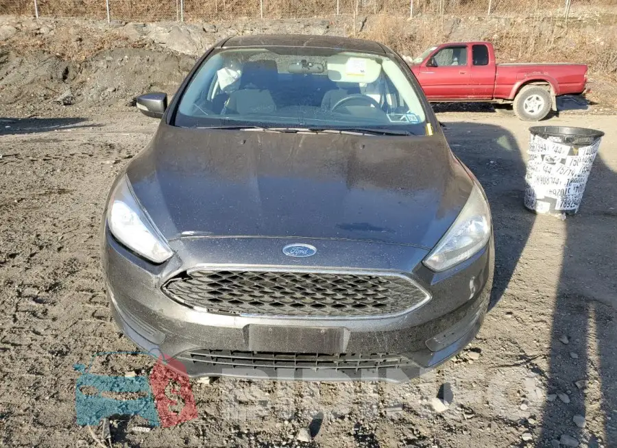 1FADP3F2XGL396783 Photo# 5