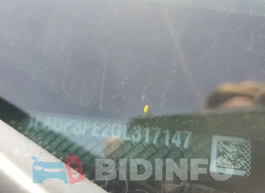 1FADP3FE2GL317147 Photo# 12