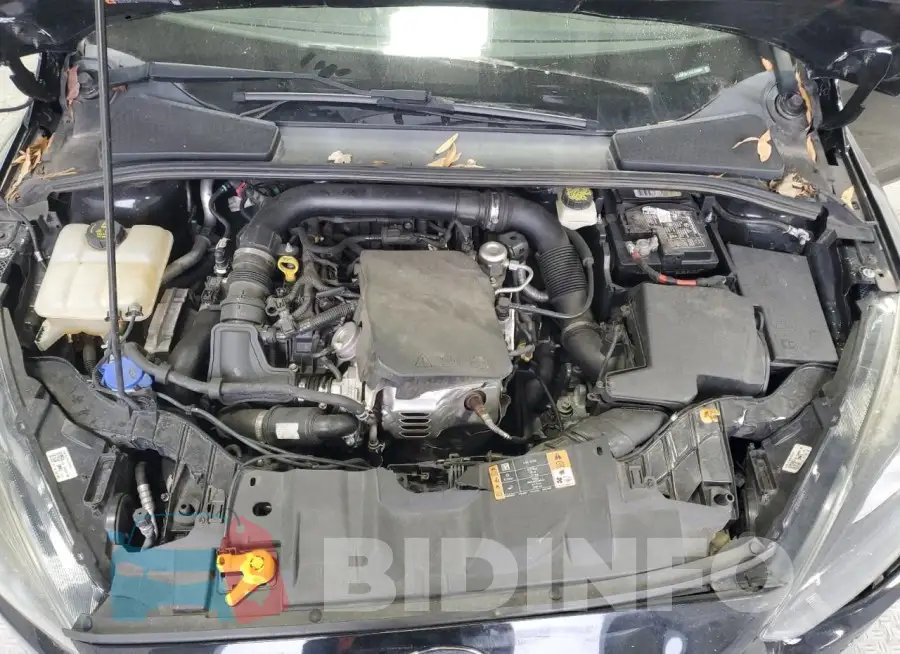 1FADP3FE2HL298004 Photo# 11