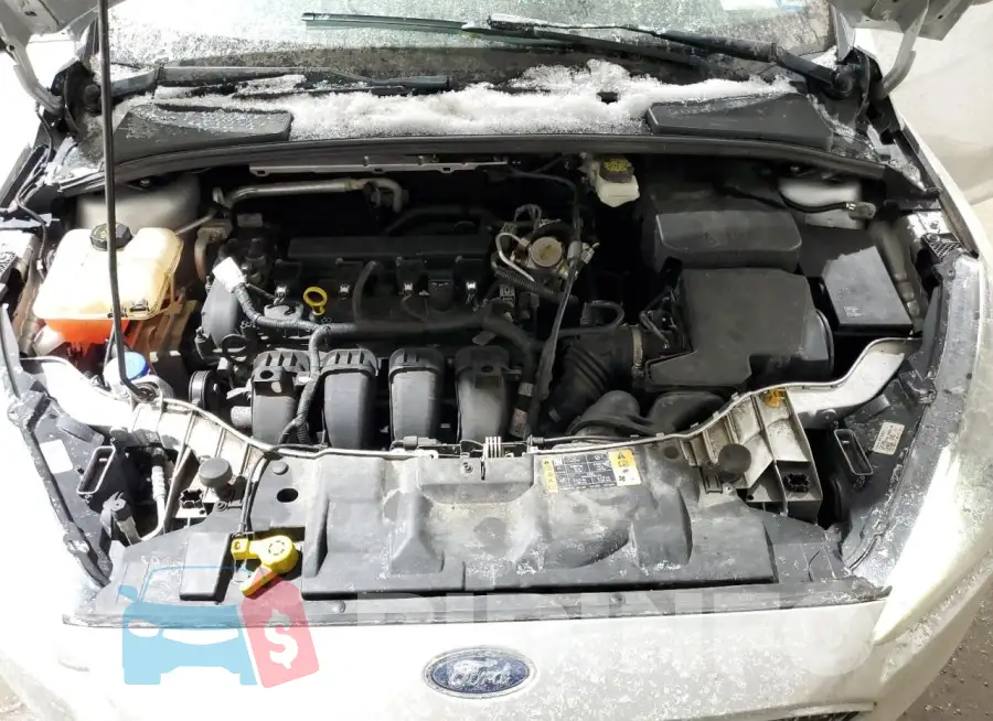 1FADP3M26HL228823 Photo# 11