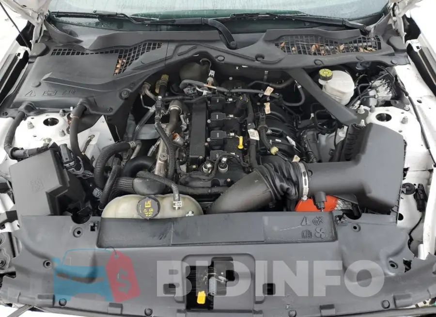 1FATP8UH4M5101791 Photo# 11
