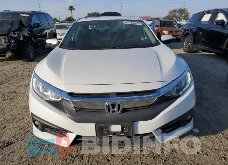 19XFC1F31HE206942 Photo# 5