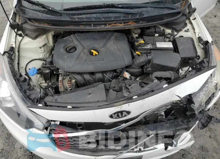 KNAFZ4A81G5552175 Photo# 11