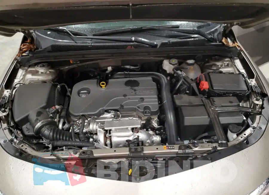 1G1ZD5ST6RF206619 Photo# 11