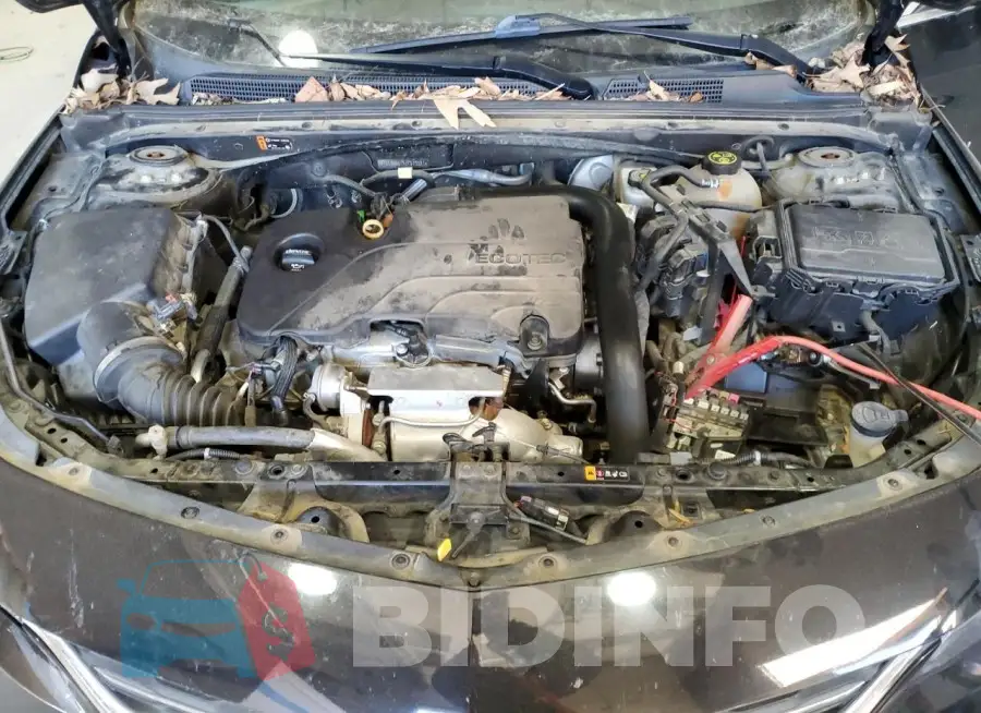 1G1ZD5ST9JF273381 Photo# 11