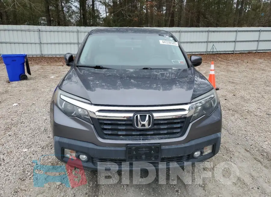 5FPYK3F64HB021173 Photo# 5