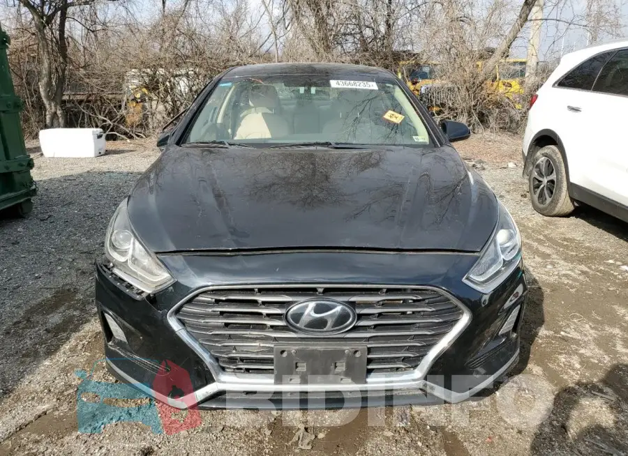 5NPE24AF6KH771093 Photo# 5