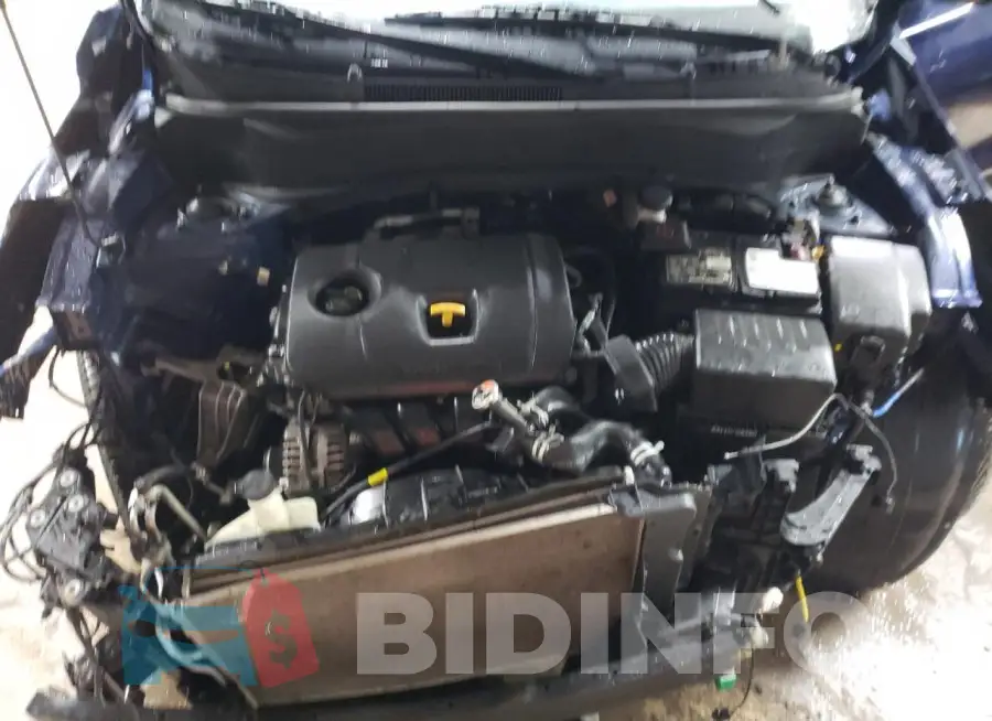 KNDERCAA3M7044575 Photo# 11