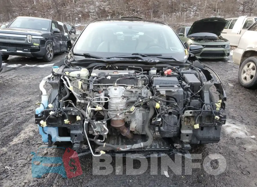 19XFC2F74GE249095 Photo# 5