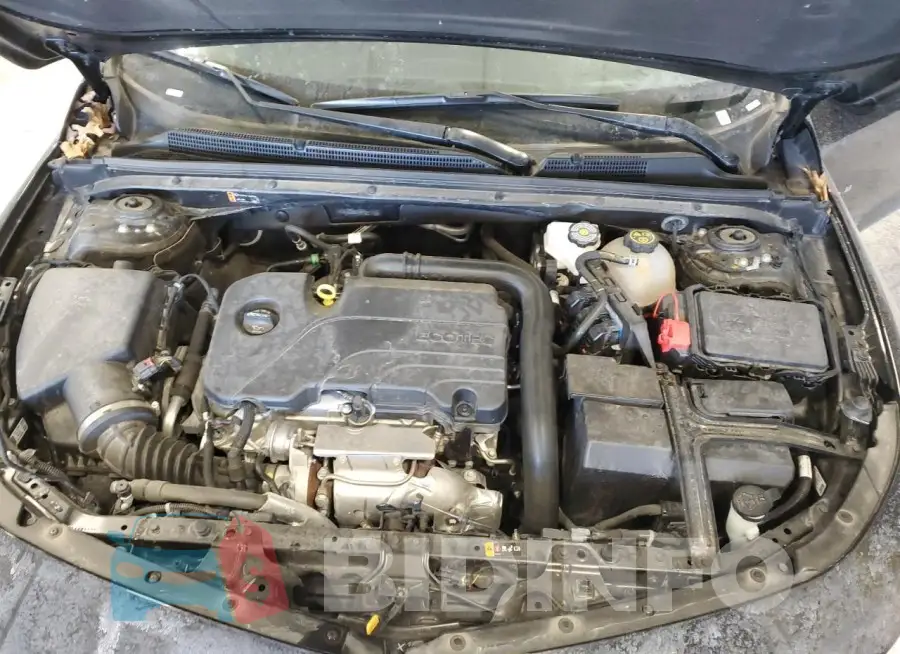 1G1ZD5ST5PF251189 Photo# 11