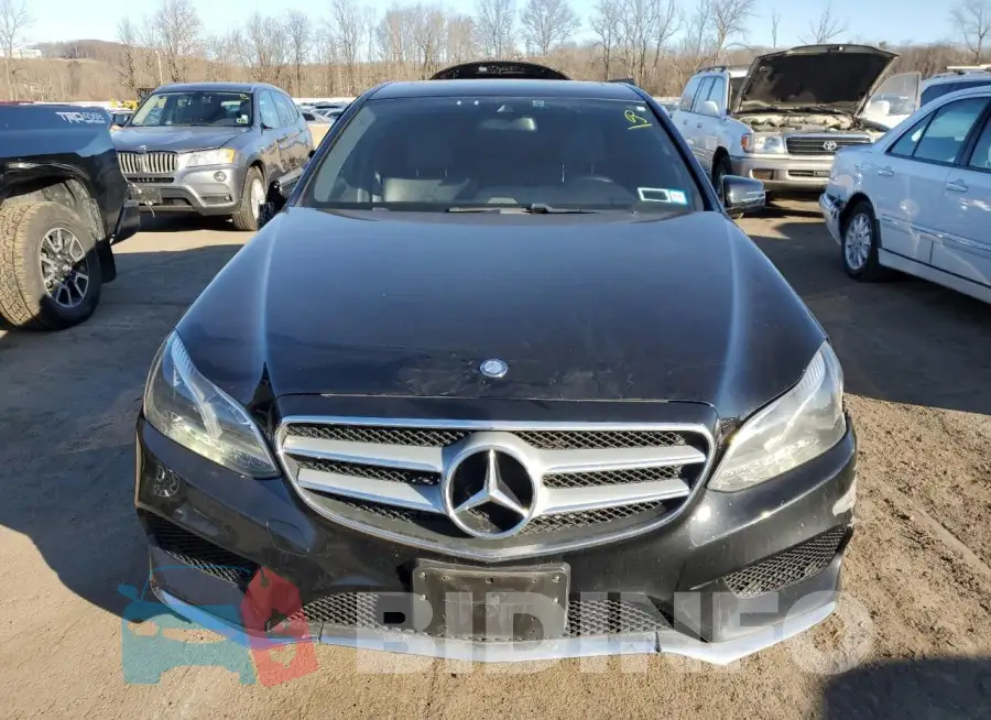 WDDHF8JB9GB237686 Photo# 5