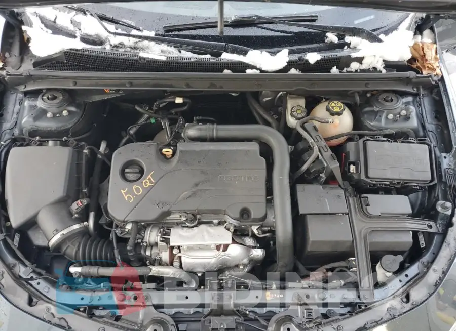 1G1ZG5ST7LF119858 Photo# 11