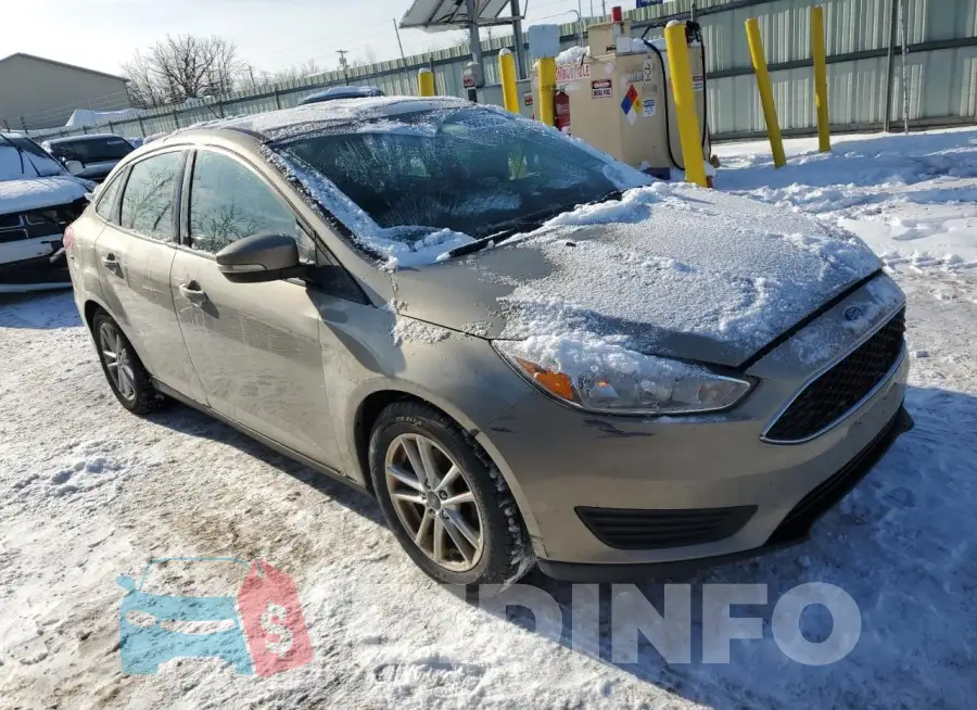 1FADP3F27GL299766 Photo# 4
