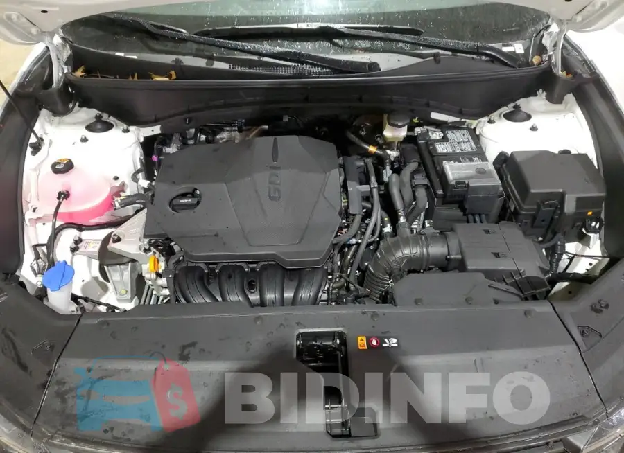 5NMJBCDE1SH469980 Photo# 12