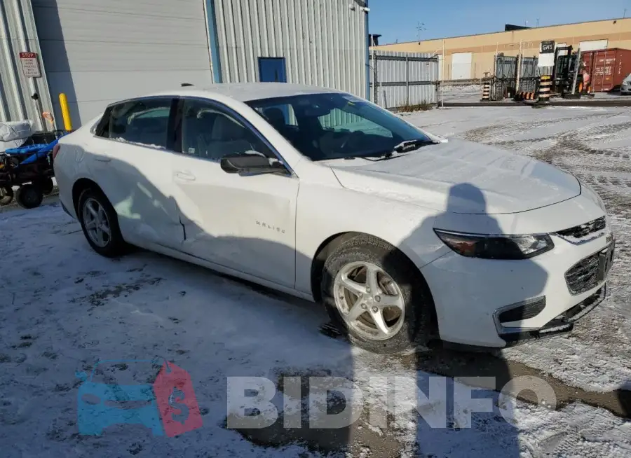 1G1ZB5ST5GF256494 Photo# 4