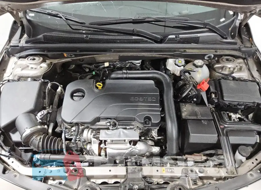 1G1ZD5STXPF224179 Photo# 11