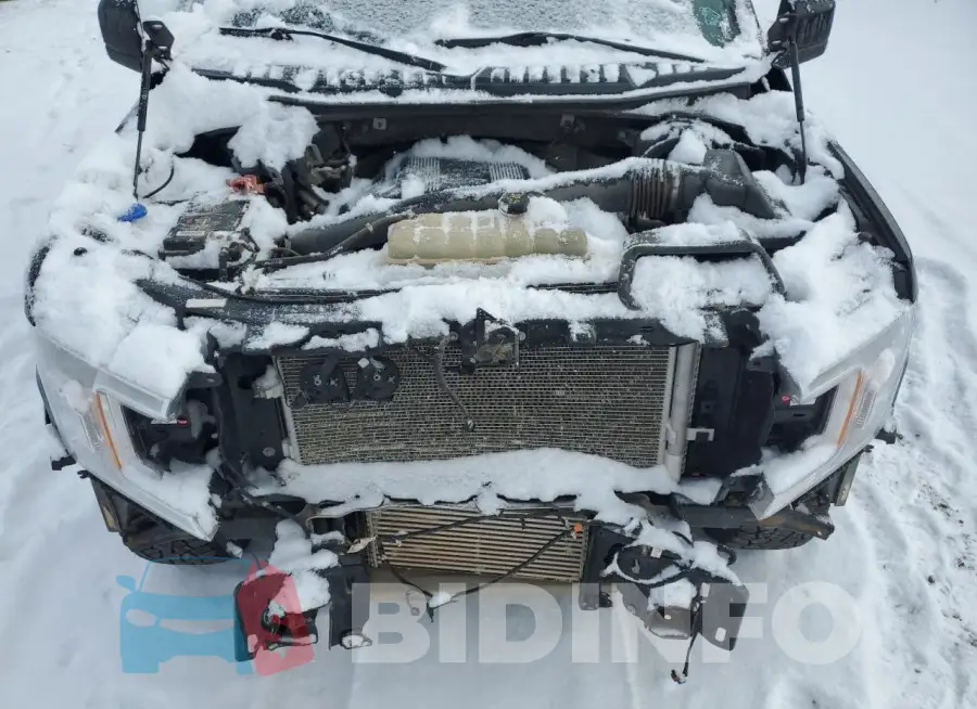 1FTFW1E44LKF26764 Photo# 11