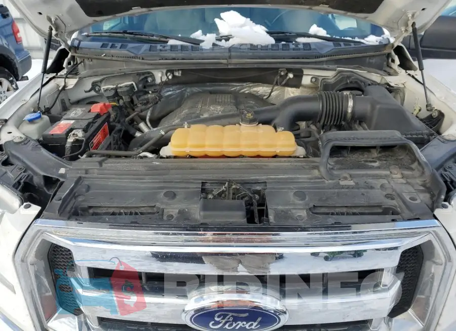 1FTFW1EG3GKD81250 Photo# 11