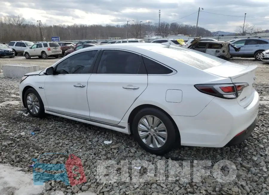 KMHE24L11HA043985 Photo# 2