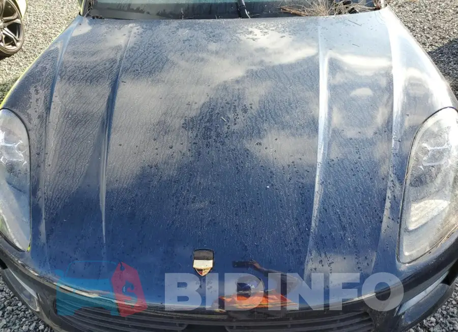 WP1AB2A56MLB33515 Photo# 11