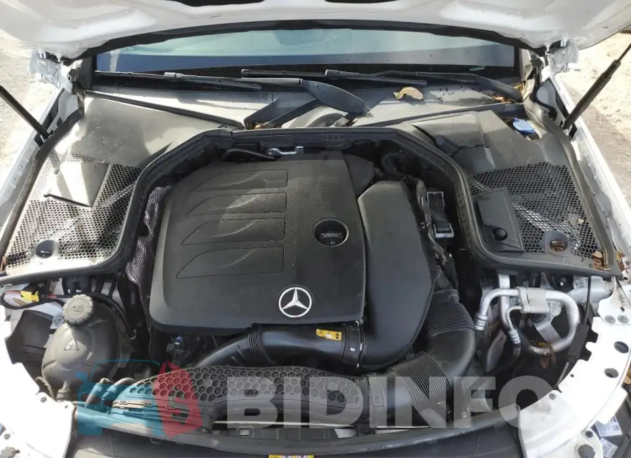 WDDWF8DBXLR541629 Photo# 11