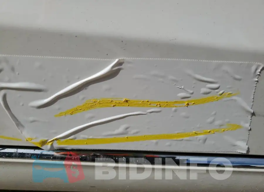 WDDWF8DBXLR541629 Photo# 12