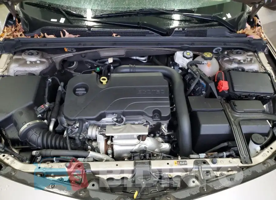1G1ZD5ST6PF163042 Photo# 11
