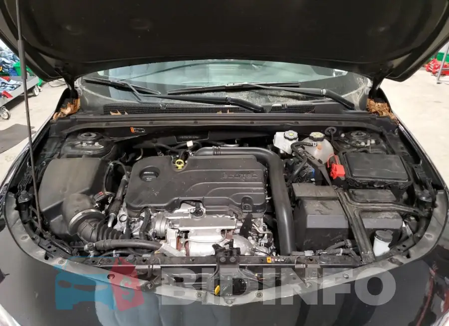 1G1ZD5ST6RF122462 Photo# 11