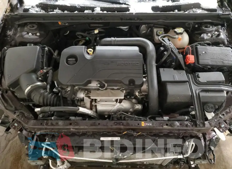1G1ZG5ST0MF008666 Photo# 11