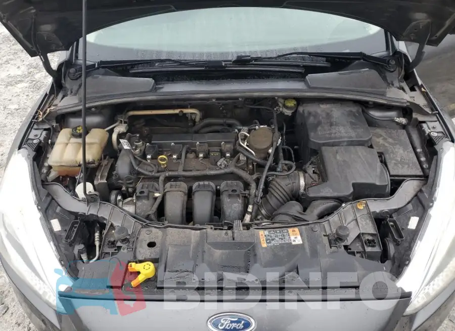 1FADP3E22GL241629 Photo# 11