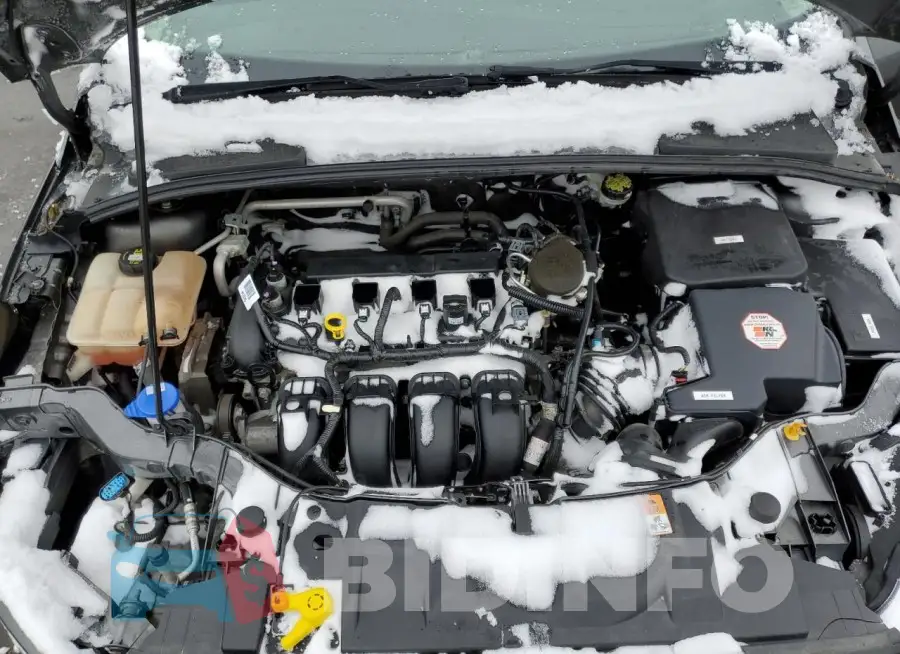1FADP3F22GL216342 Photo# 11