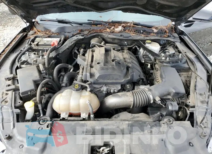 1FATP8UH9K5159599 Photo# 11