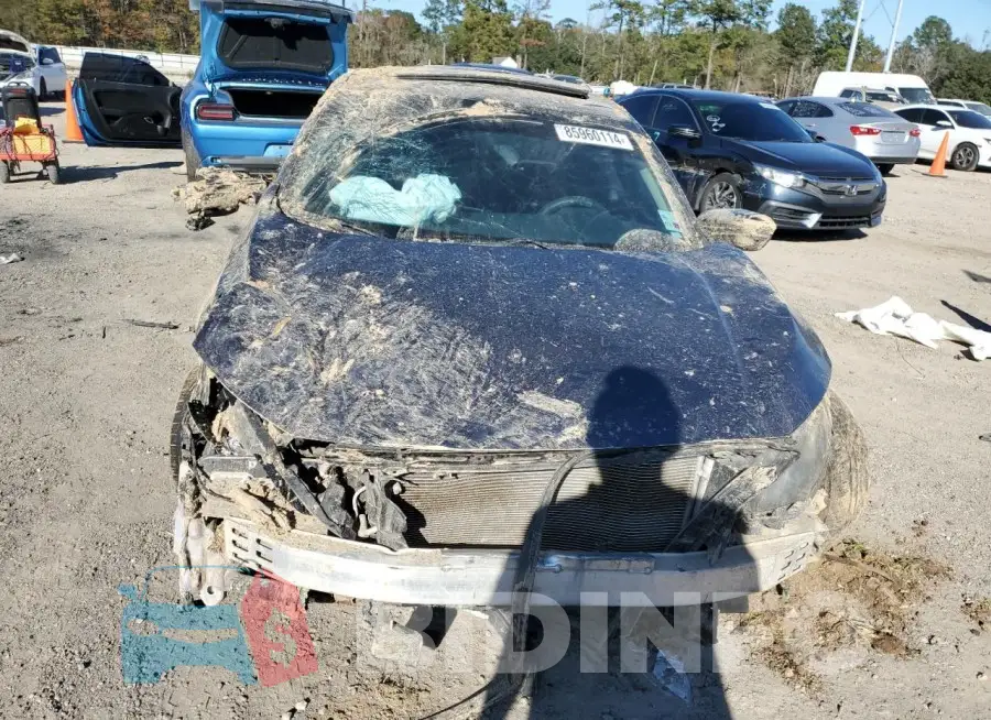 19XFC1F33HE213858 Photo# 5