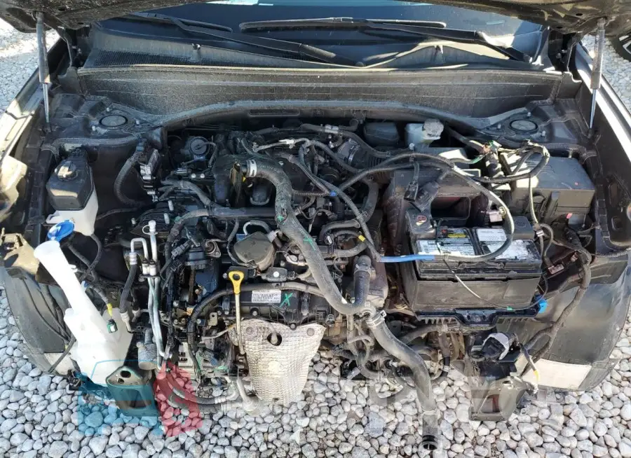 KM8R54HEXLU172044 Photo# 12