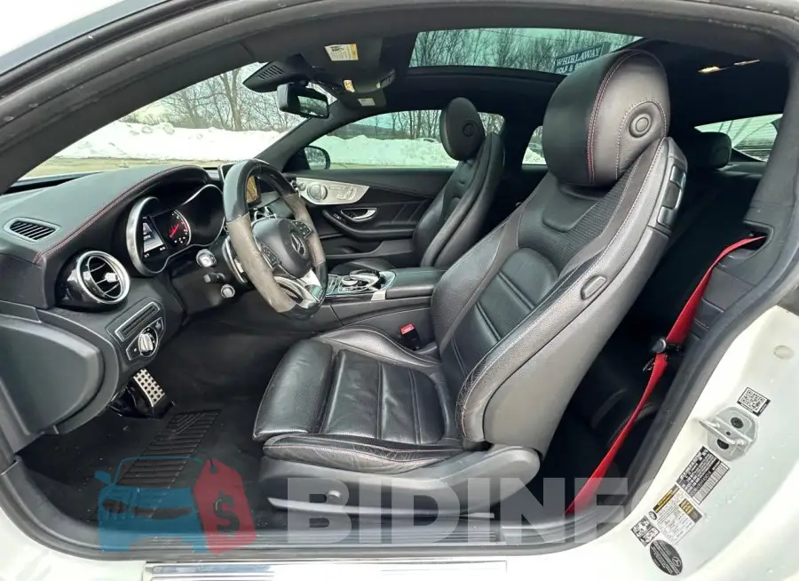 WDDWJ6EB5HF458314 Photo# 12
